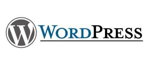 新手站长搭建WordPress网站几大注意事项