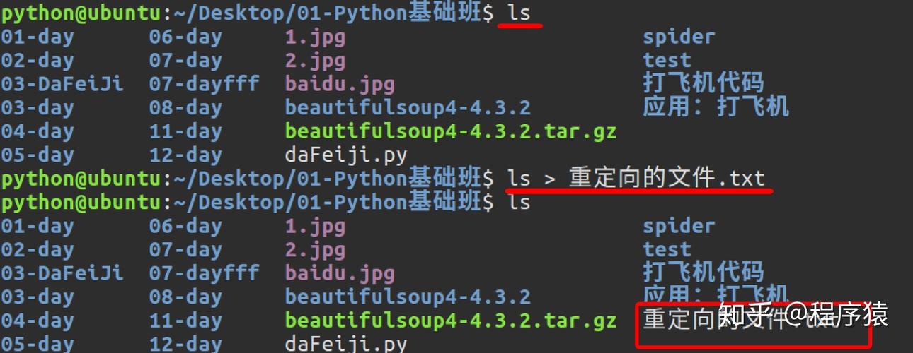 python 命令行输入