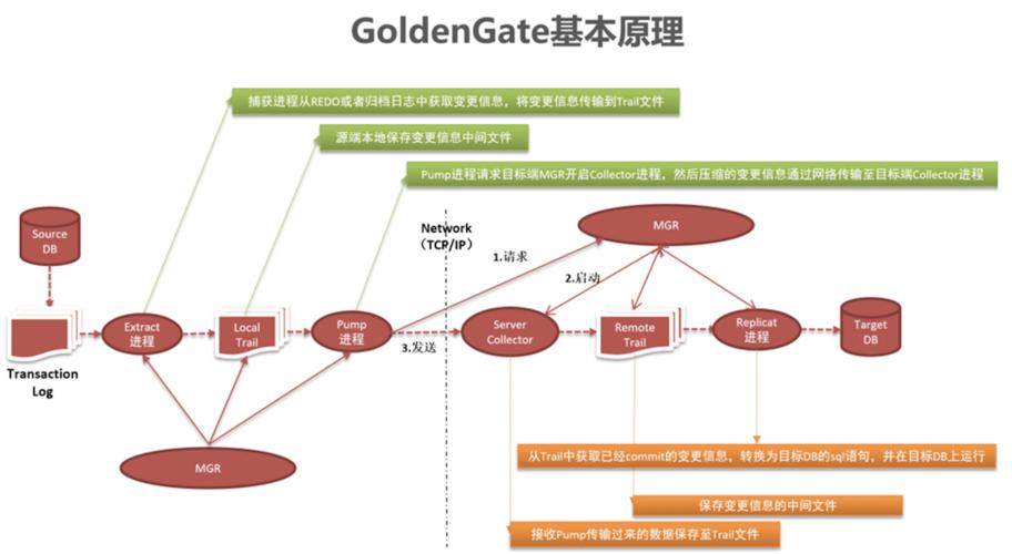 oracle数据库ogg是什么