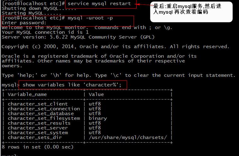 mysql乱码问题解决方案分享怎么写