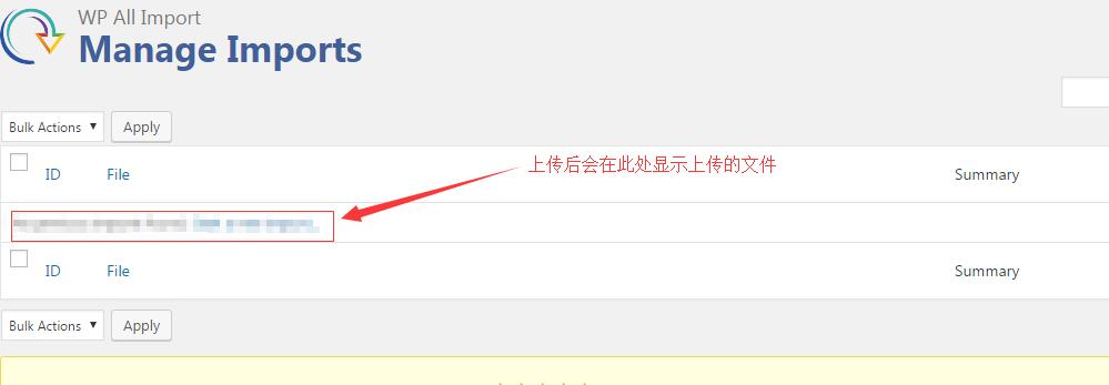 WP All Import文件管理